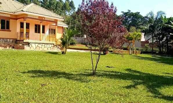 WhatsApp Image 2021-04-21 at 11.51.43 AM 1.jpeg